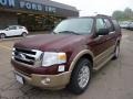 2011 Royal Red Metallic Ford Expedition XLT 4x4  photo #8