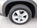 2007 BMW X5 4.8i Wheel and Tire Photo