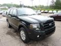 2010 Tuxedo Black Ford Expedition Limited 4x4  photo #6