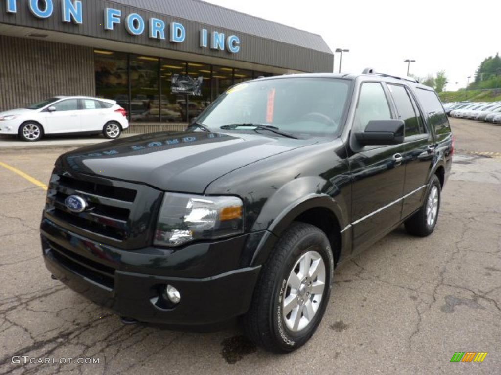 2010 Expedition Limited 4x4 - Tuxedo Black / Charcoal Black photo #8