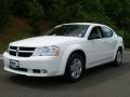 Stone White - Avenger SXT Photo No. 1