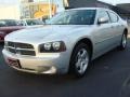 Bright Silver Metallic - Charger SXT Photo No. 7