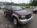 2007 Bordeaux Red Metallic Chevrolet TrailBlazer LT 4x4  photo #6