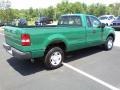  2007 F150 XL Regular Cab 4x4 Fleet Green