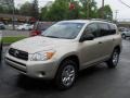 Savannah Metallic - RAV4 4WD Photo No. 1