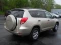 Savannah Metallic - RAV4 4WD Photo No. 2