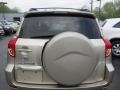 Savannah Metallic - RAV4 4WD Photo No. 11