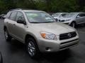 Savannah Metallic - RAV4 4WD Photo No. 17