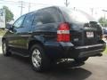 2001 Nighthawk Black Pearl Acura MDX   photo #4