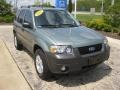 2007 Titanium Green Metallic Ford Escape XLT V6 4WD  photo #1