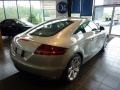 Sahara Silver Metallic - TT 3.2 quattro Coupe Photo No. 3