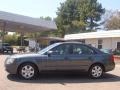 2009 Willow Gray Hyundai Sonata GLS V6  photo #8