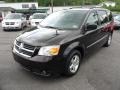 2010 Blackberry Metallic Dodge Grand Caravan SXT  photo #3