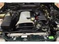 3.2L DOHC 24V Inline 6 Cylinder Engine for 1995 Mercedes-Benz E 320 Convertible #49649828
