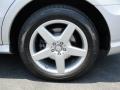 2010 Mercedes-Benz R 350 4Matic Wheel and Tire Photo