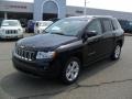 Blackberry Pearl 2011 Jeep Compass Gallery