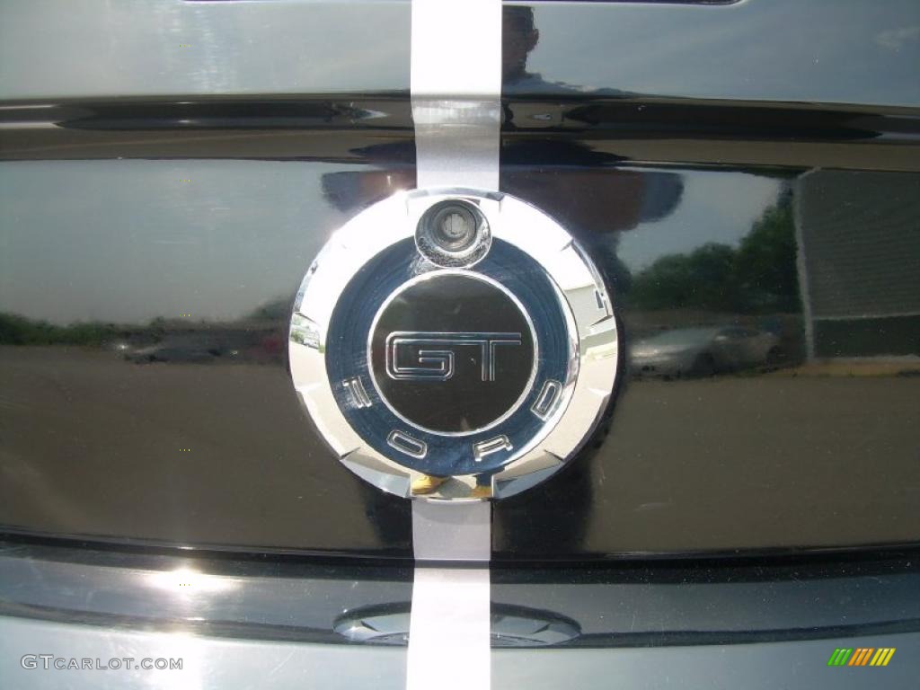 2007 Mustang GT Premium Coupe - Tungsten Grey Metallic / Black/Dove Accent photo #9
