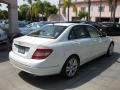 Arctic White - C 300 Luxury Photo No. 2