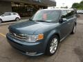 2010 Steel Blue Metallic Ford Flex SEL EcoBoost AWD  photo #8