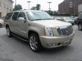 Gold Mist - Escalade ESV AWD Photo No. 4