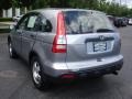 2007 Whistler Silver Metallic Honda CR-V LX 4WD  photo #6