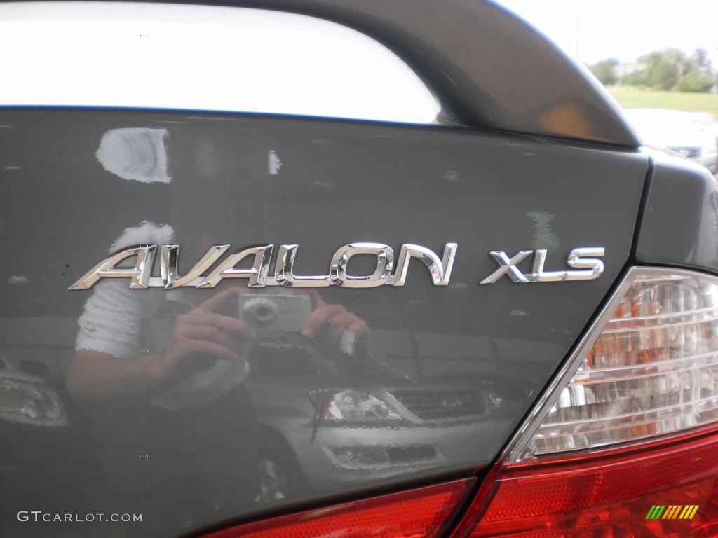 2004 Avalon XLS - Silver Spruce Metallic / Ivory photo #40