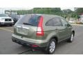 2008 Green Tea Metallic Honda CR-V EX-L  photo #5