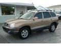 2004 Sandstone Hyundai Santa Fe GLS  photo #5