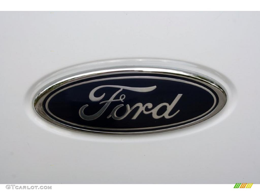 2005 F150 FX4 SuperCrew 4x4 - Oxford White / Medium Flint/Dark Flint Grey photo #14