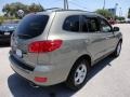 Natural Khaki Green - Santa Fe GLS Photo No. 12