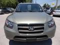 Natural Khaki Green - Santa Fe GLS Photo No. 20