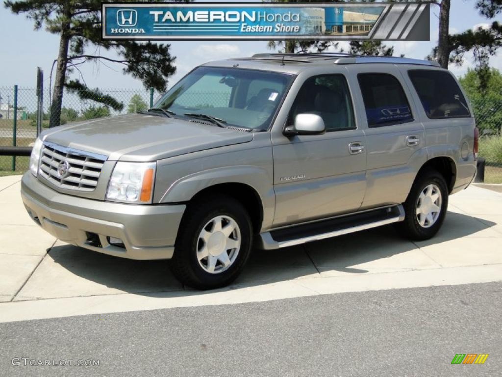 2002 Escalade AWD - Silver Sand / Pewter photo #1