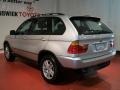 Titanium Silver Metallic - X5 3.0i Photo No. 7