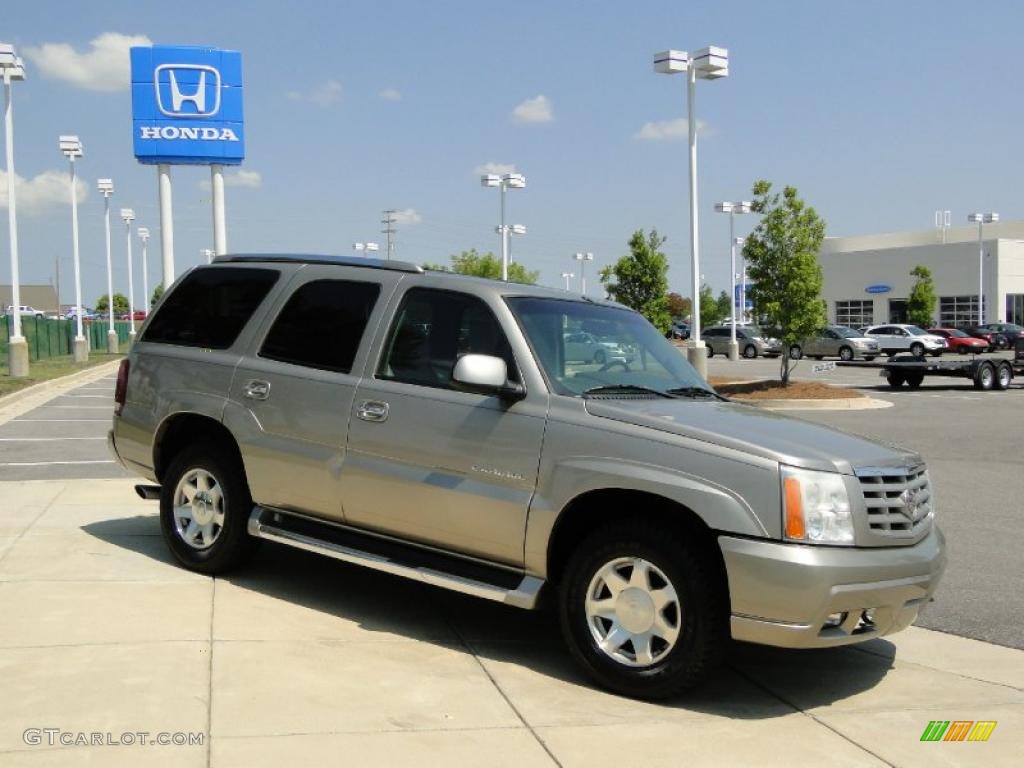 2002 Escalade AWD - Silver Sand / Pewter photo #3