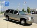 Silver Sand - Escalade AWD Photo No. 3