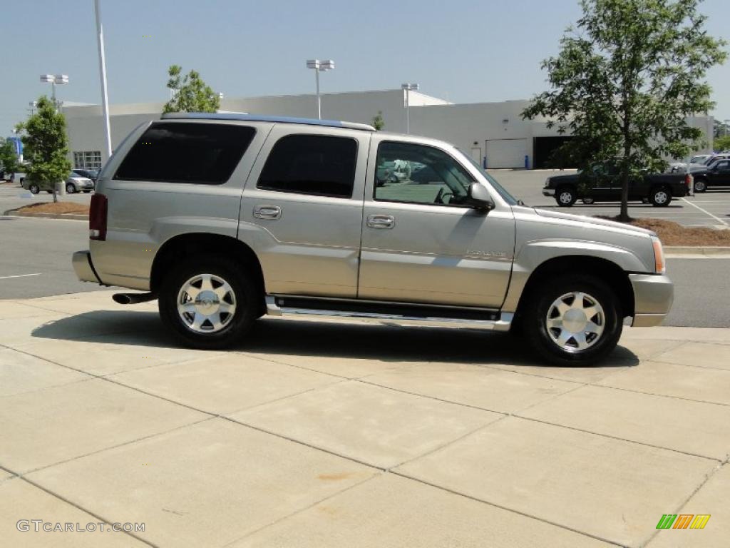 2002 Escalade AWD - Silver Sand / Pewter photo #4