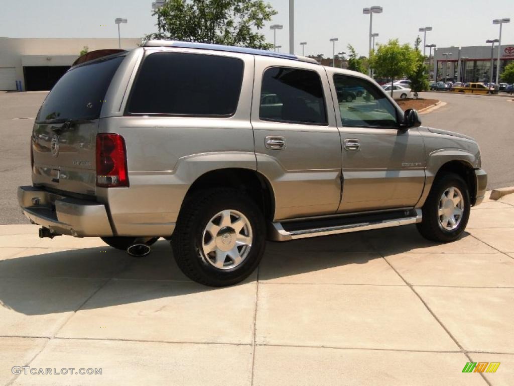 2002 Escalade AWD - Silver Sand / Pewter photo #5