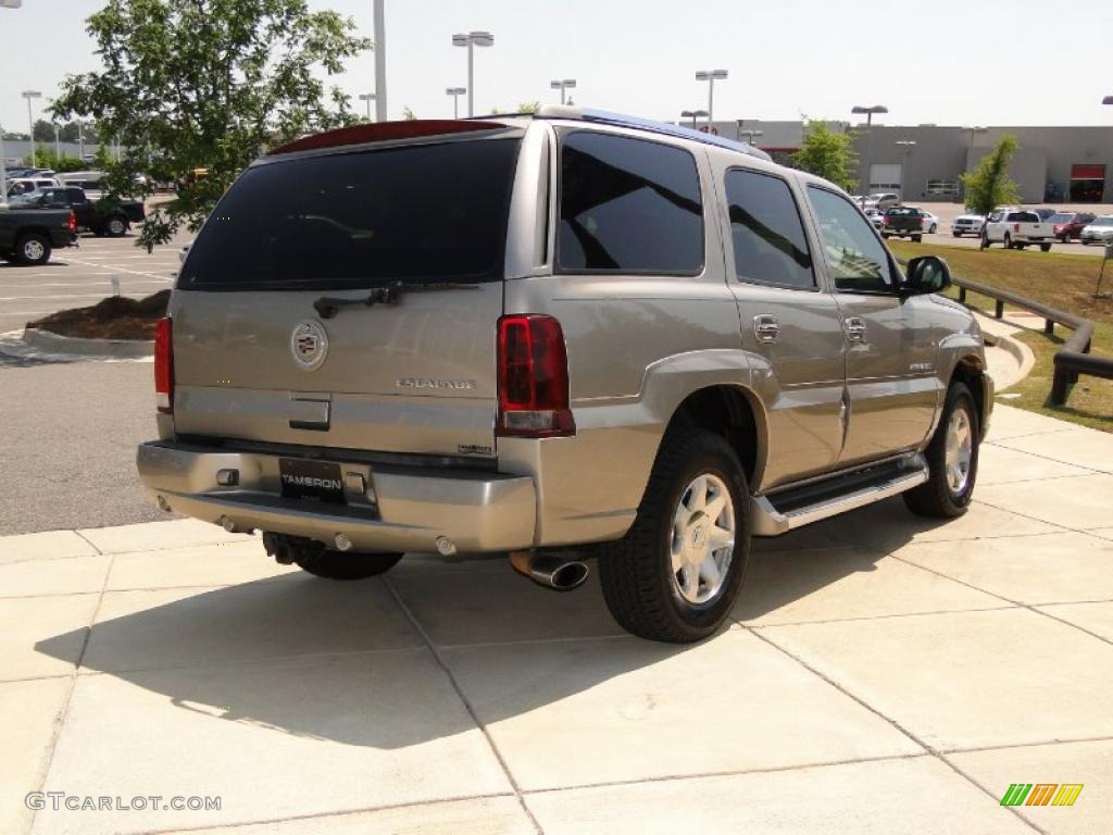 2002 Escalade AWD - Silver Sand / Pewter photo #6