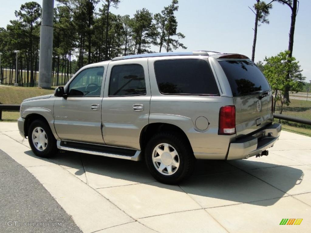 2002 Escalade AWD - Silver Sand / Pewter photo #7