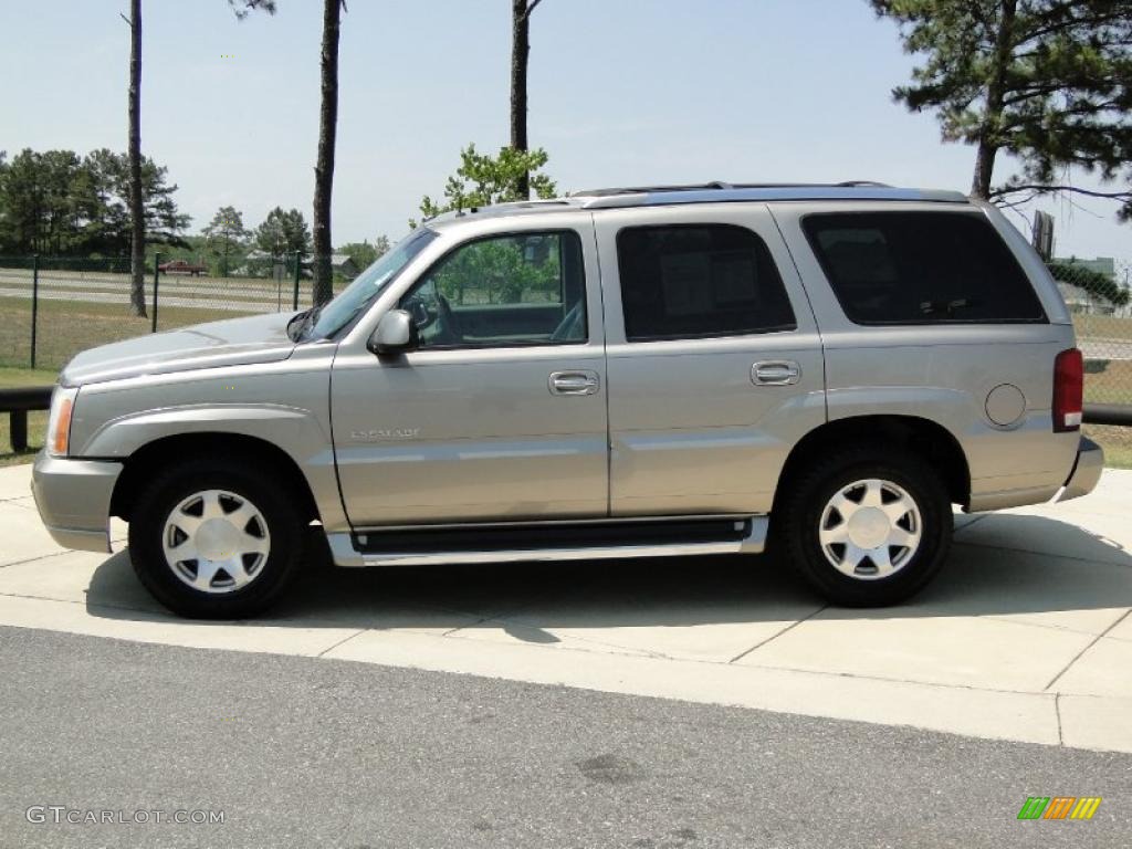 2002 Escalade AWD - Silver Sand / Pewter photo #8