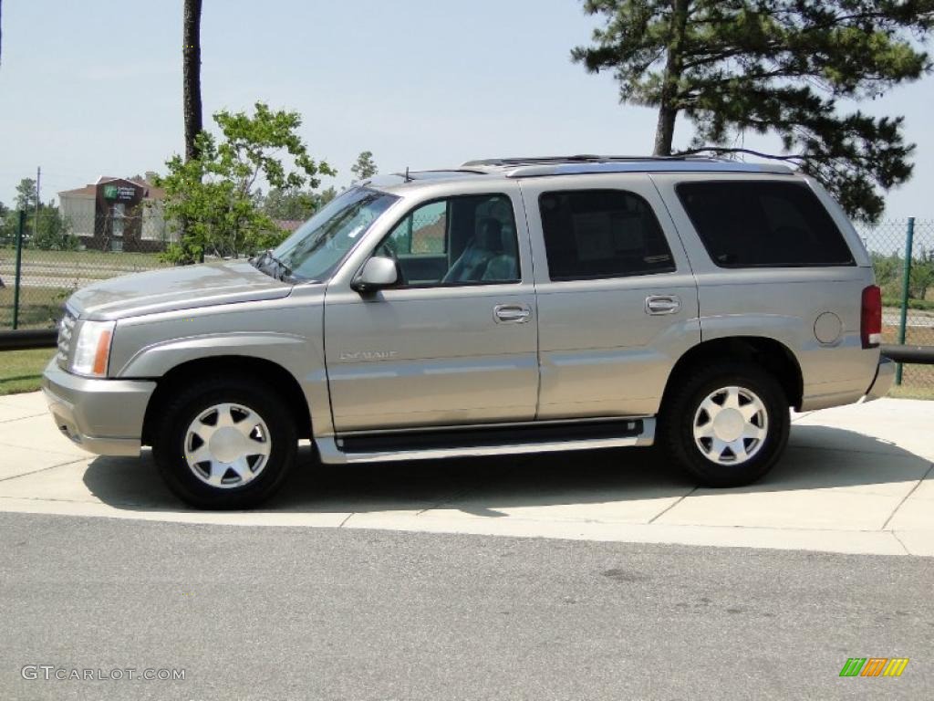 2002 Escalade AWD - Silver Sand / Pewter photo #9
