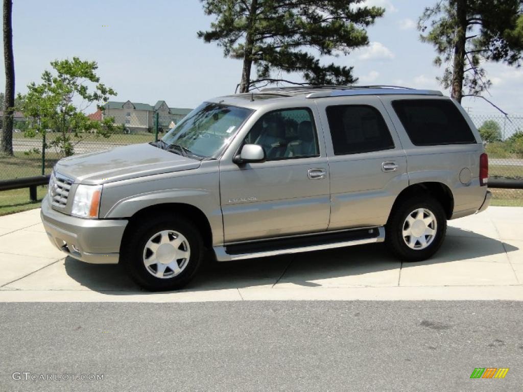 2002 Escalade AWD - Silver Sand / Pewter photo #10