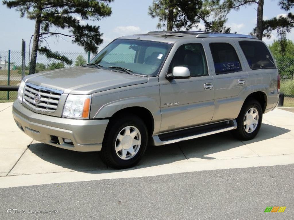 2002 Escalade AWD - Silver Sand / Pewter photo #11