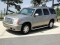 2002 Silver Sand Cadillac Escalade AWD  photo #11