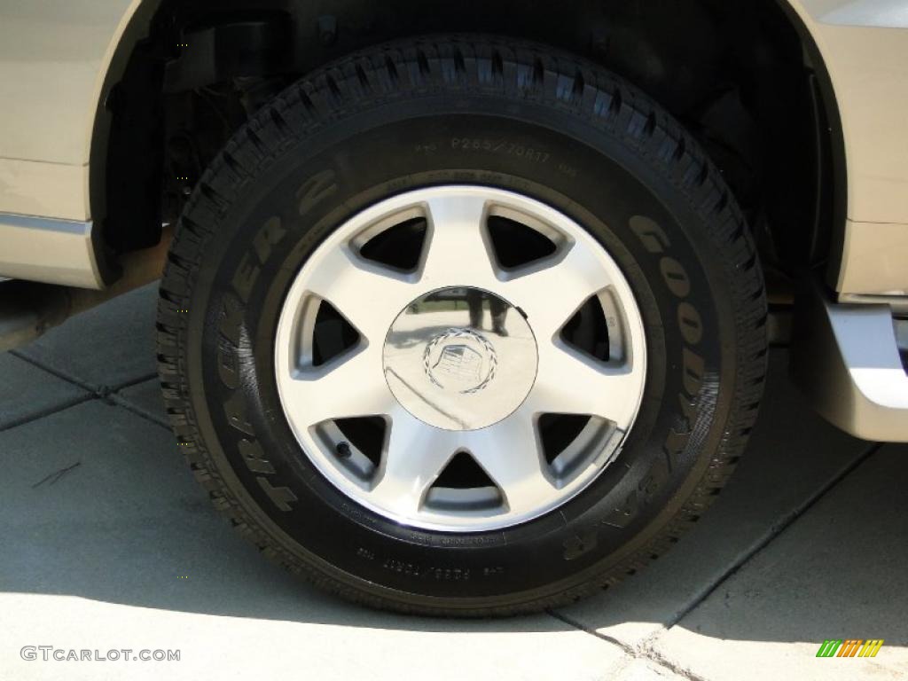 2002 Escalade AWD - Silver Sand / Pewter photo #40