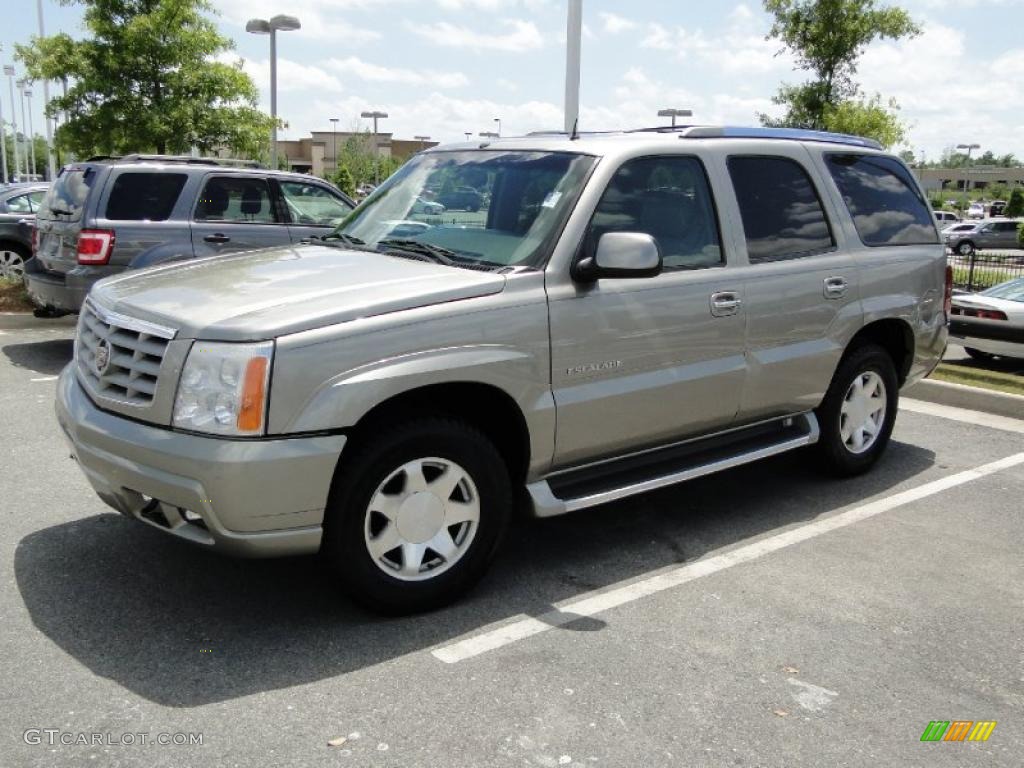 2002 Escalade AWD - Silver Sand / Pewter photo #42
