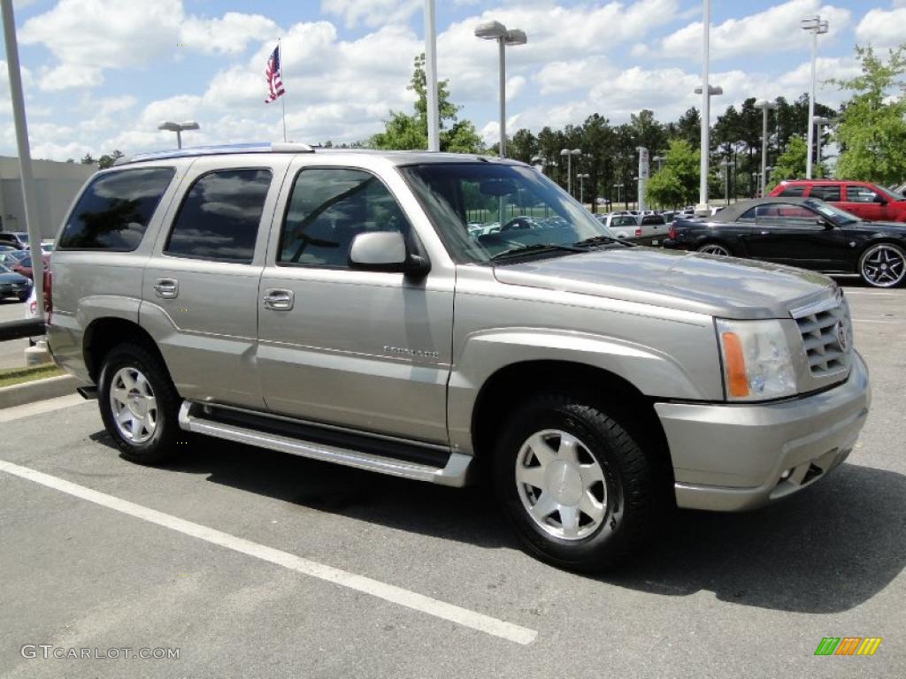 2002 Escalade AWD - Silver Sand / Pewter photo #43