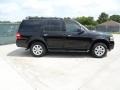 Tuxedo Black 2010 Ford Expedition XLT Exterior
