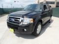 2010 Tuxedo Black Ford Expedition XLT  photo #7