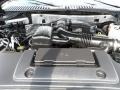5.4 Liter Flex-Fuel SOHC 24-Valve VVT V8 2010 Ford Expedition XLT Engine